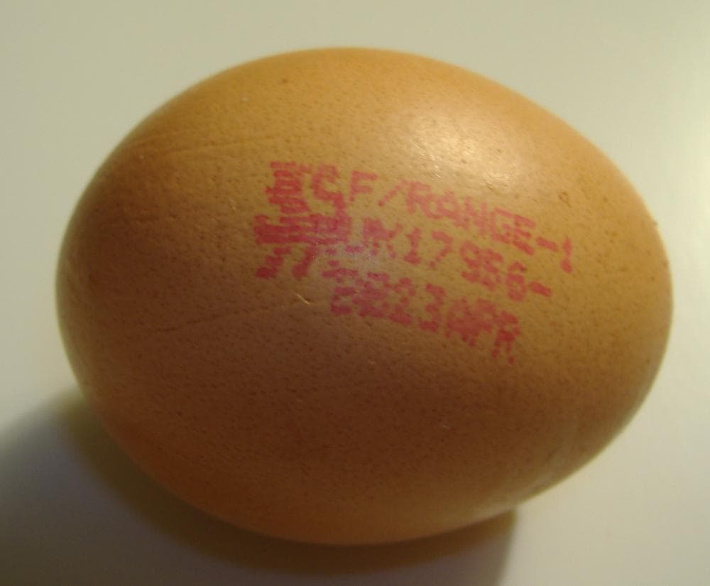 Free-range eggs - Wikipedia