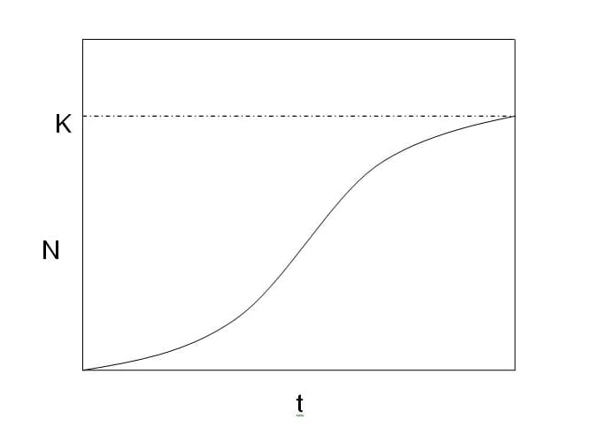 Capacité porteuse — Wikipédia