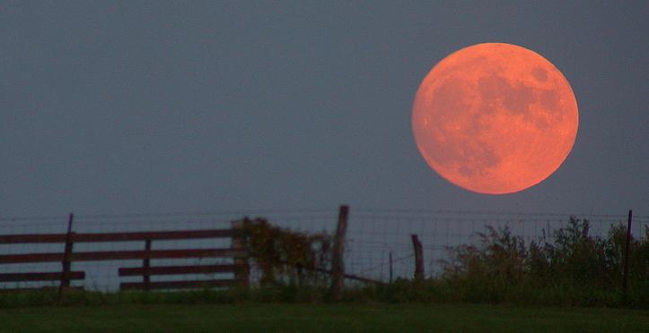 Illusion lunaire — Wikipédia