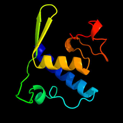 Effector (biology) - Wikipedia