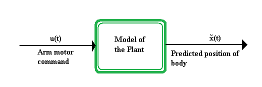 Internal model (motor control) - Wikipedia