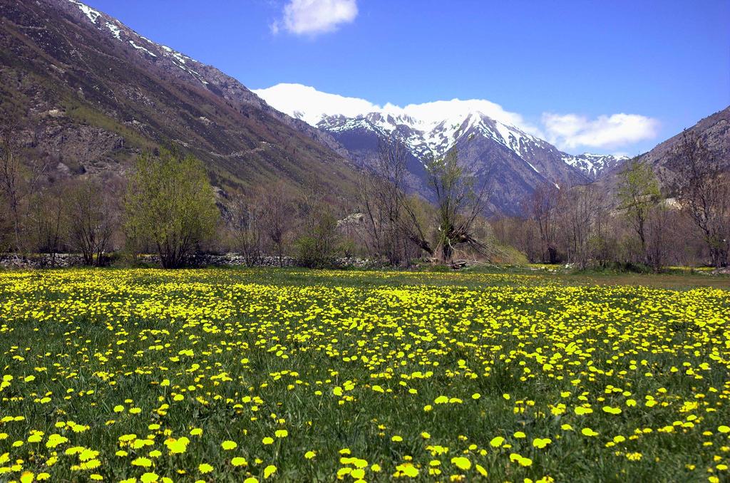 Cerdanya - Wikipedia