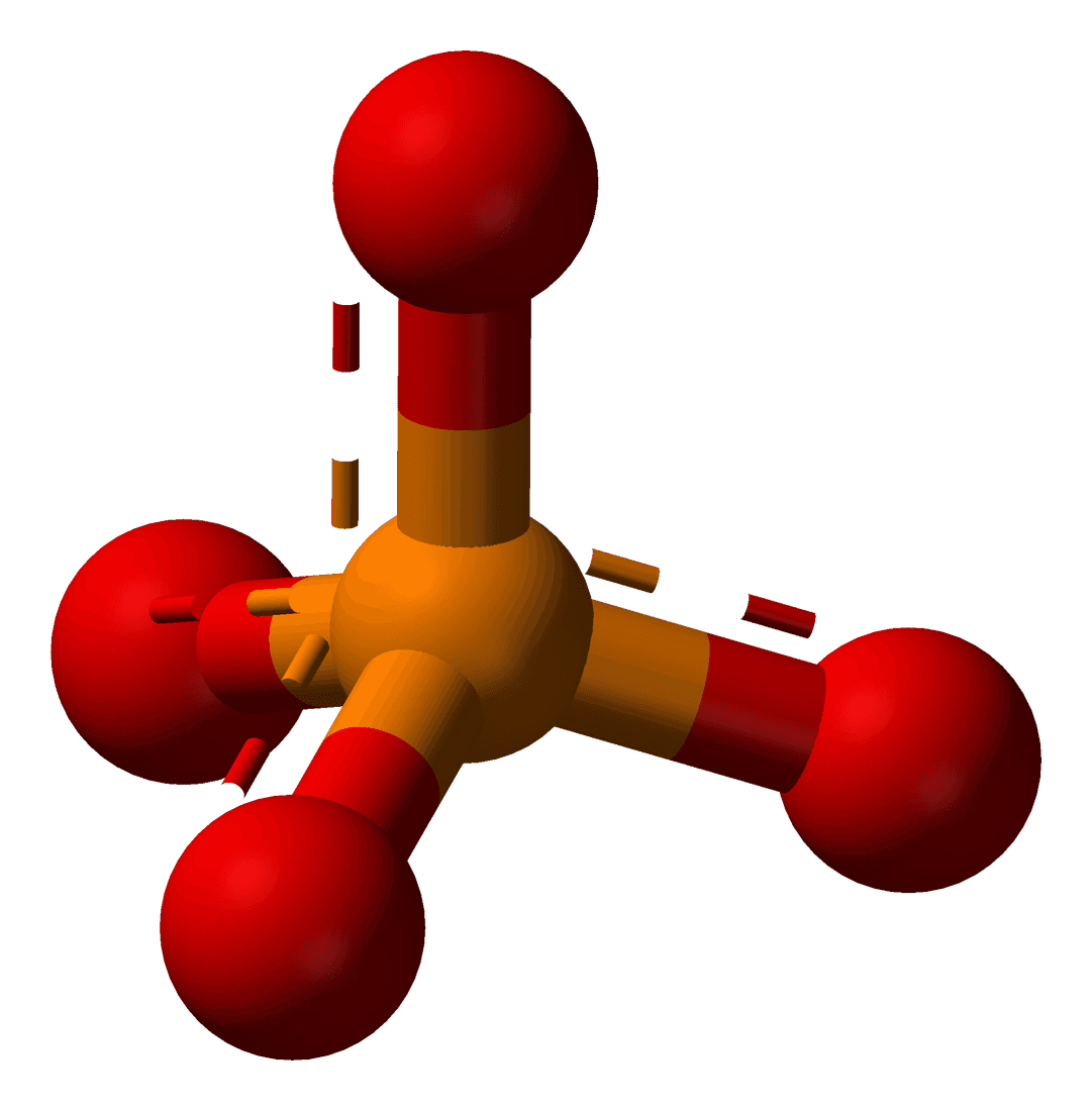 Phosphatase - Wikipedia