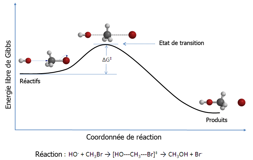 Théorie de l'état de transition — Wikipédia