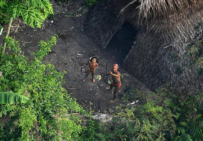 Uncontacted peoples - Wikipedia