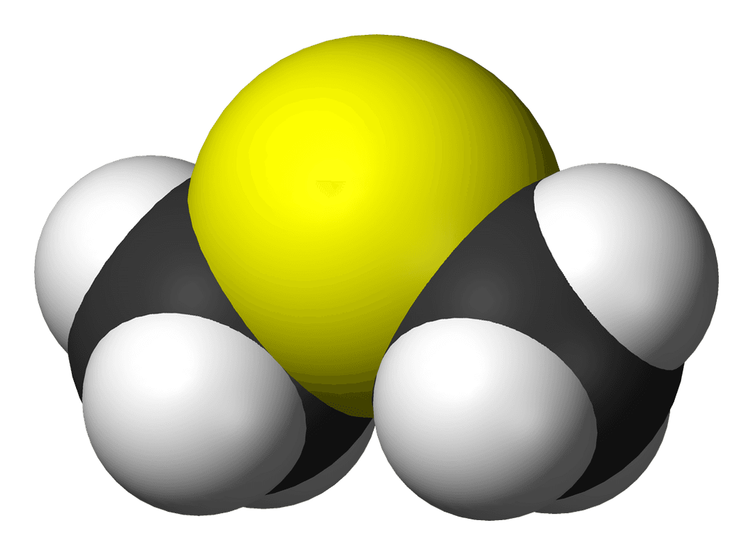 Dimethyl sulfide - Wikipedia