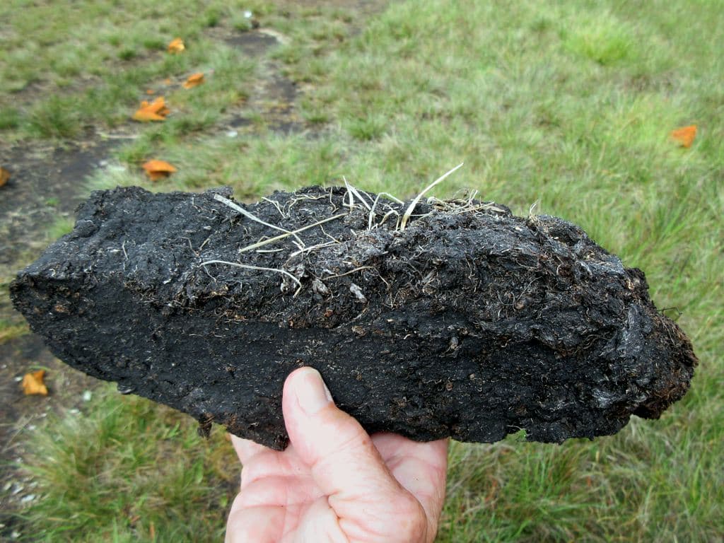 Peat - Wikipedia