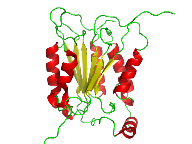 Caspase - Wikipedia