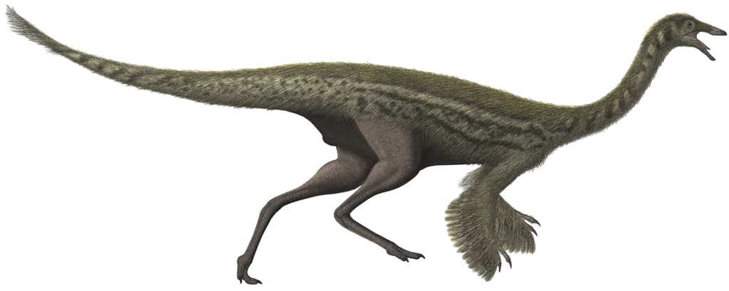 Gallimimus — Wikipédia