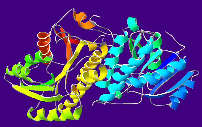 Alcool déshydrogénase — Wikipédia