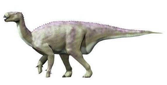 Iguanodon — Wikipédia