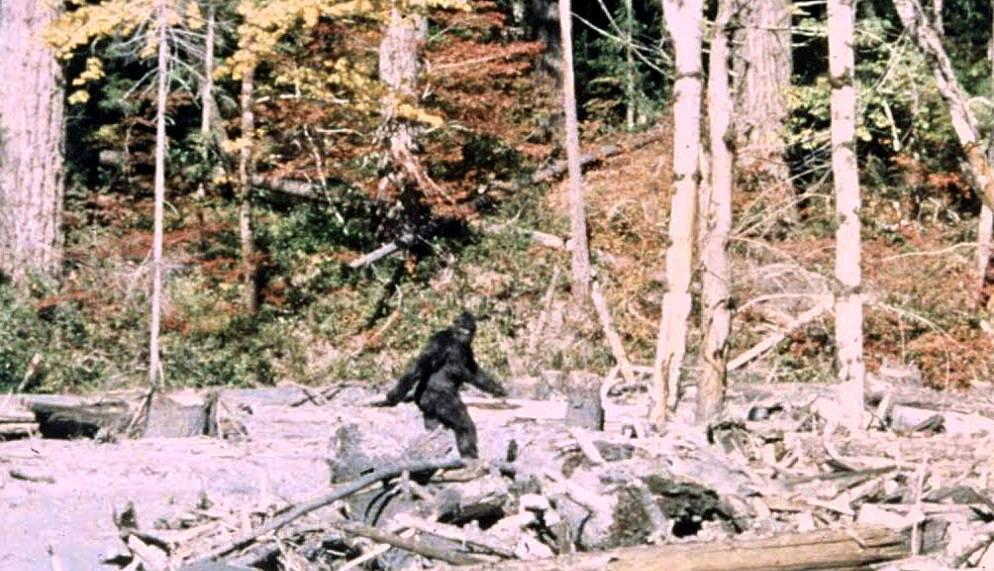 Cryptozoology - Wikipedia