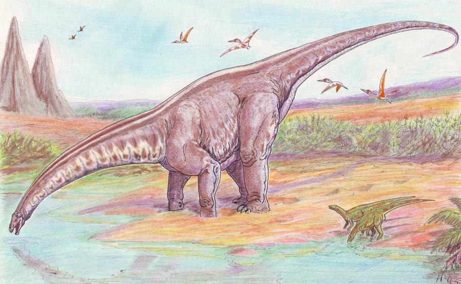 Apatosaurus — Wikipédia