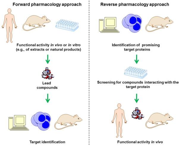 Reverse pharmacology - Wikipedia