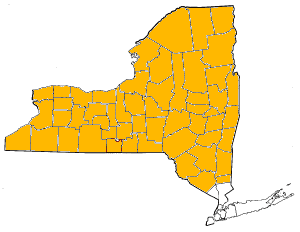 Upstate New York — Wikipédia