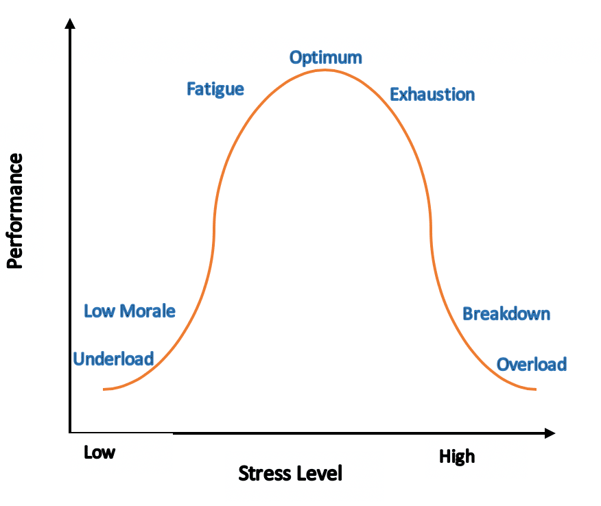 Allostatic load - Wikipedia