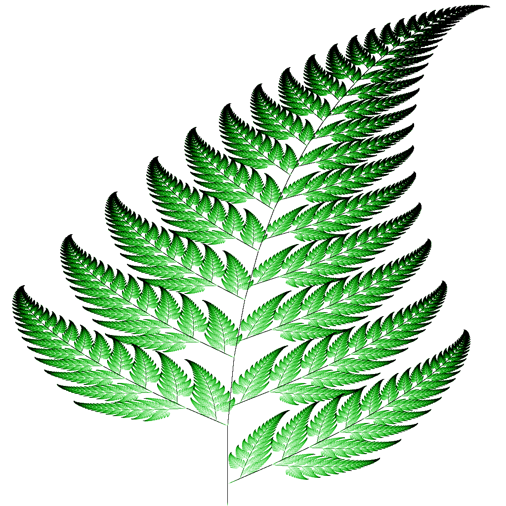 Barnsley fern - Wikipedia