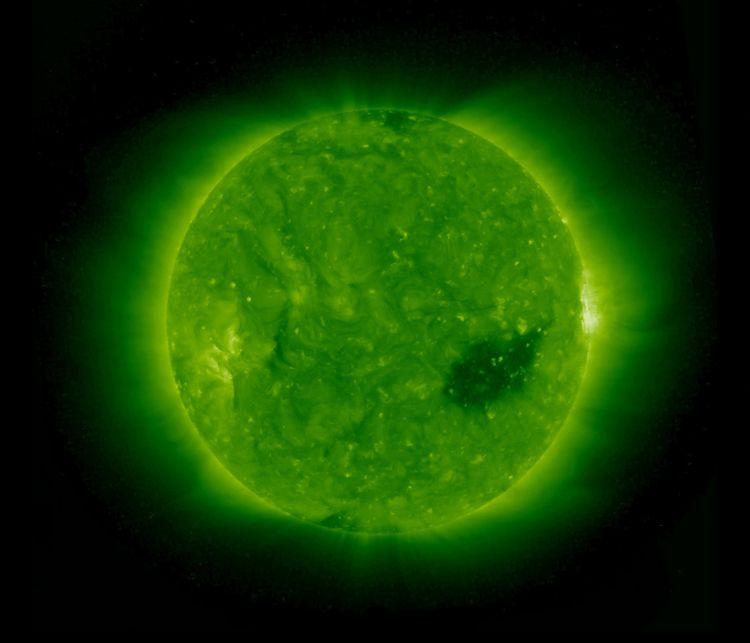 Trou coronal — Wikipédia