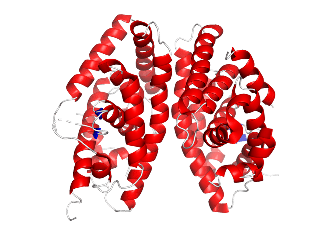 Liver X receptor - Wikipedia