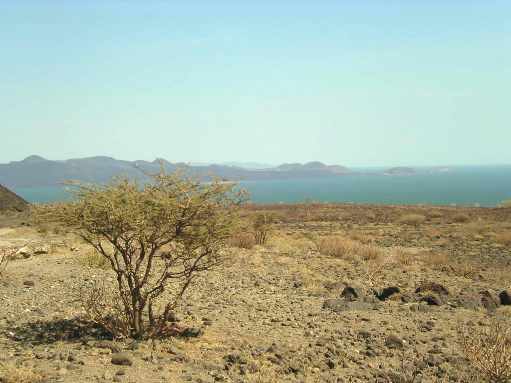 Lake Turkana - Wikipedia