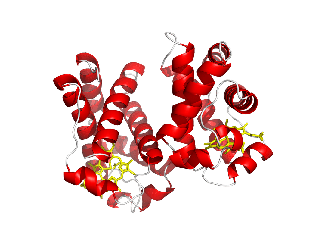 Leghemoglobin - Wikipedia