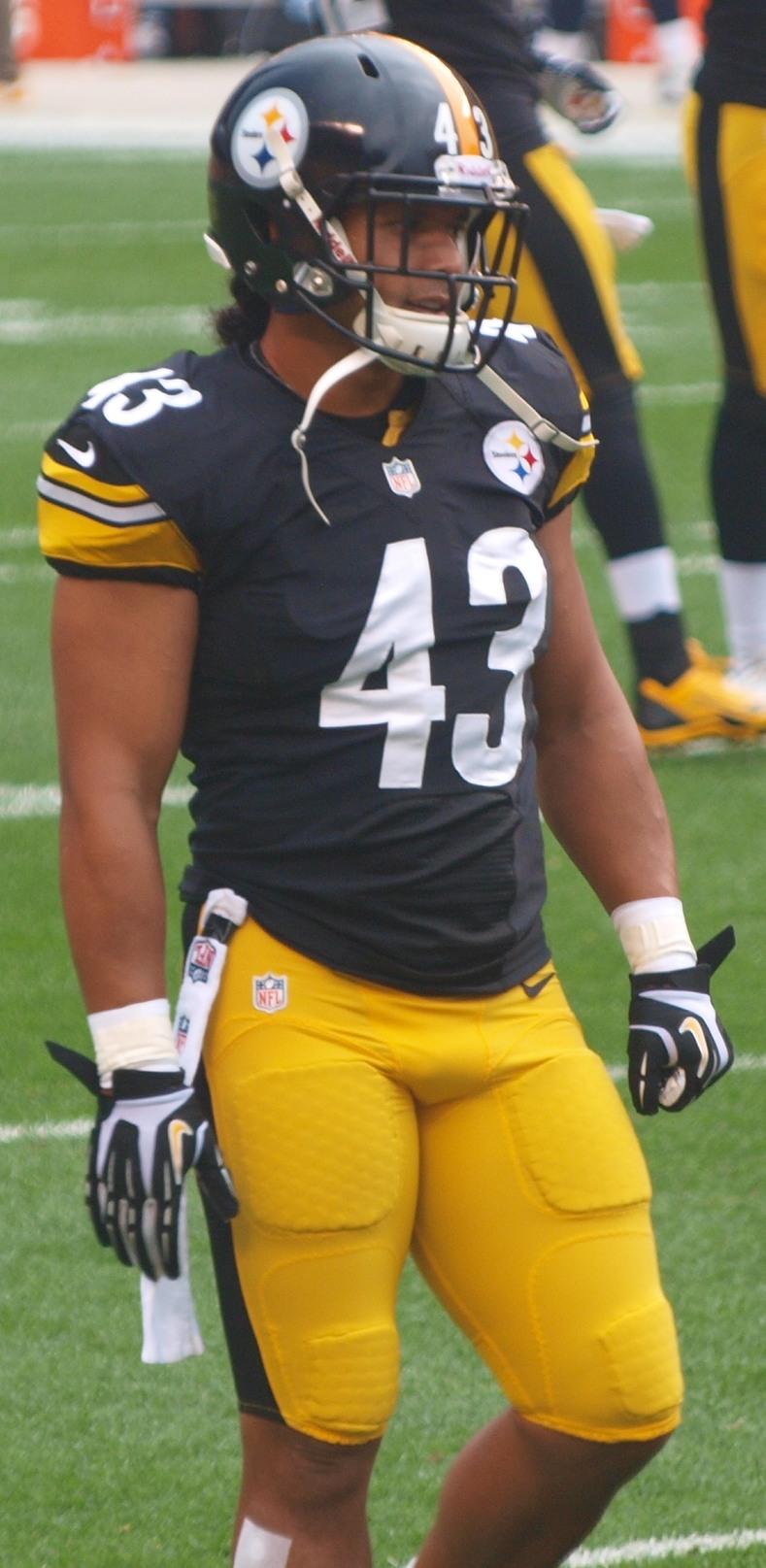 Troy Polamalu — Wikipédia