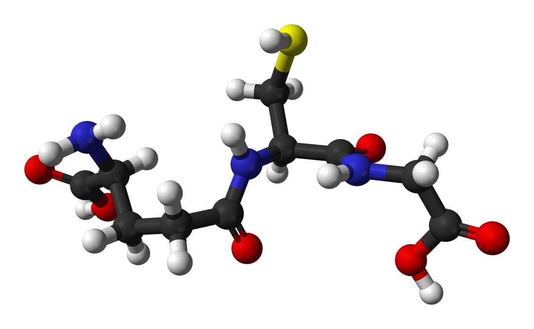 Glutathion — Wikipédia