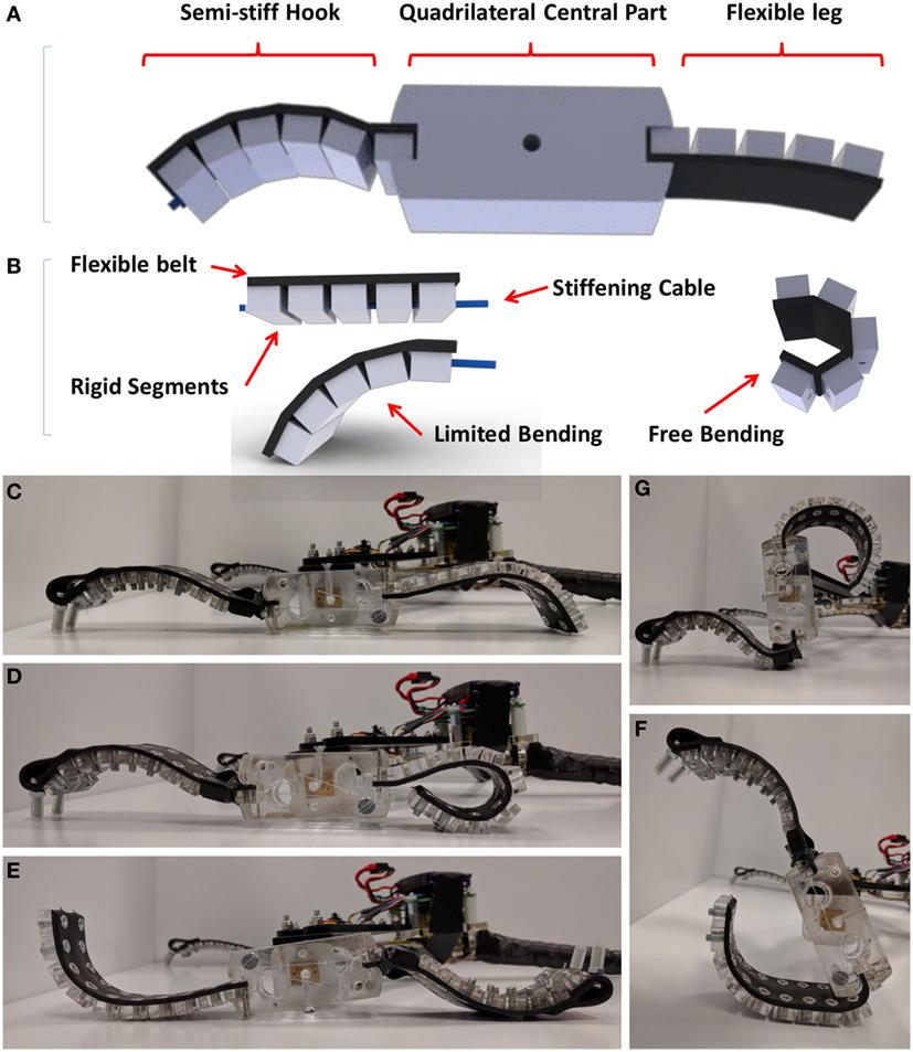 Soft robotics - Wikipedia