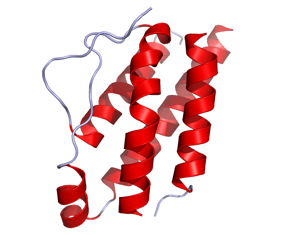 Interleukin 2 - Wikipedia