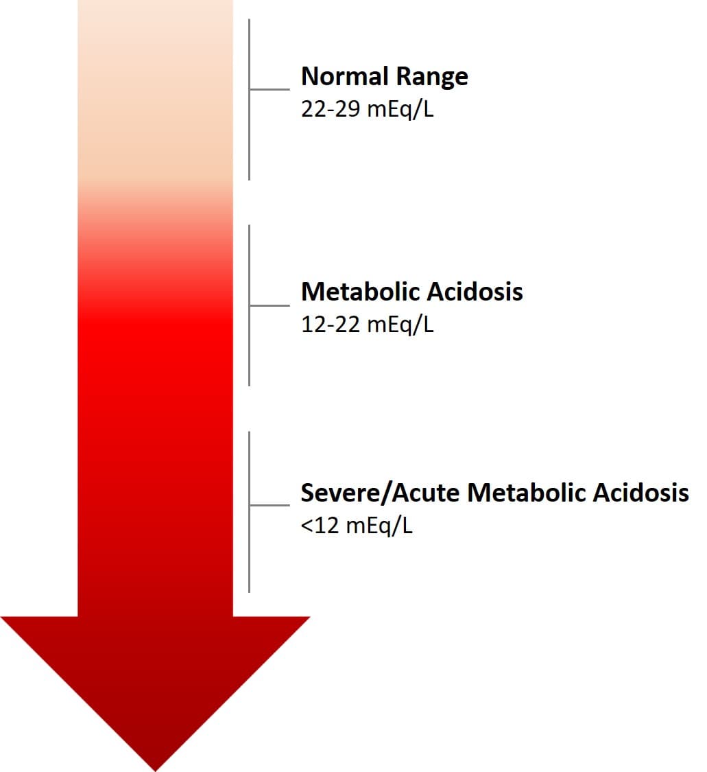 Metabolic acidosis - Wikipedia