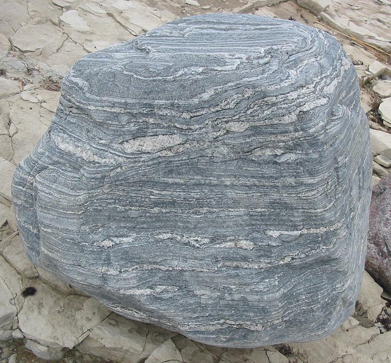 Migmatite — Wikipédia