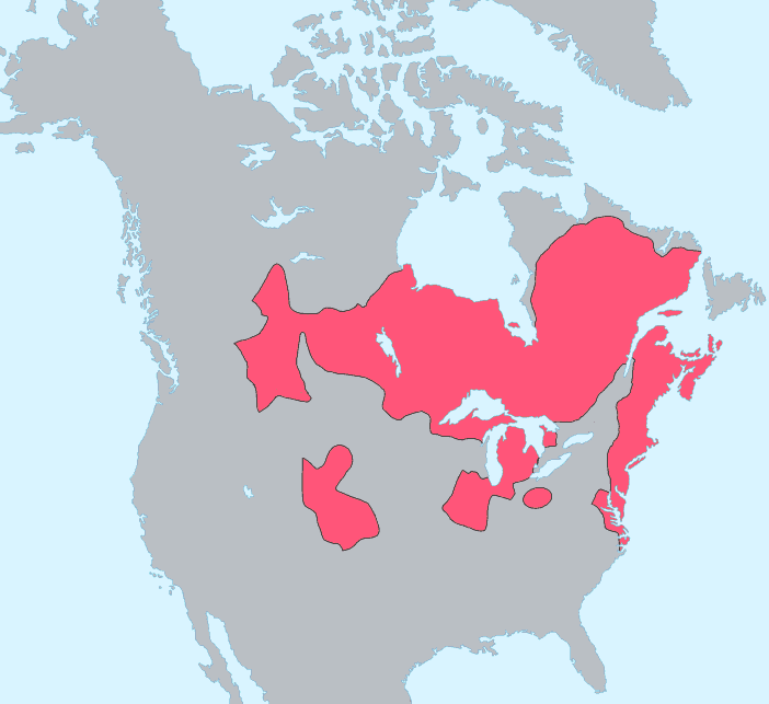 Peuples algonquiens — Wikipédia