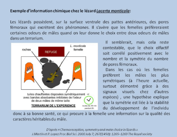 Zoosémiotique — Wikipédia