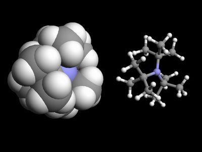 Effet stérique — Wikipédia