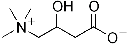 Carnitine — Wikipédia