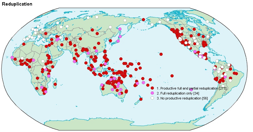 Reduplication - Wikipedia