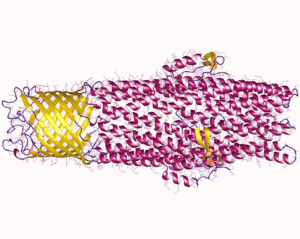 Efflux pump - Wikipedia