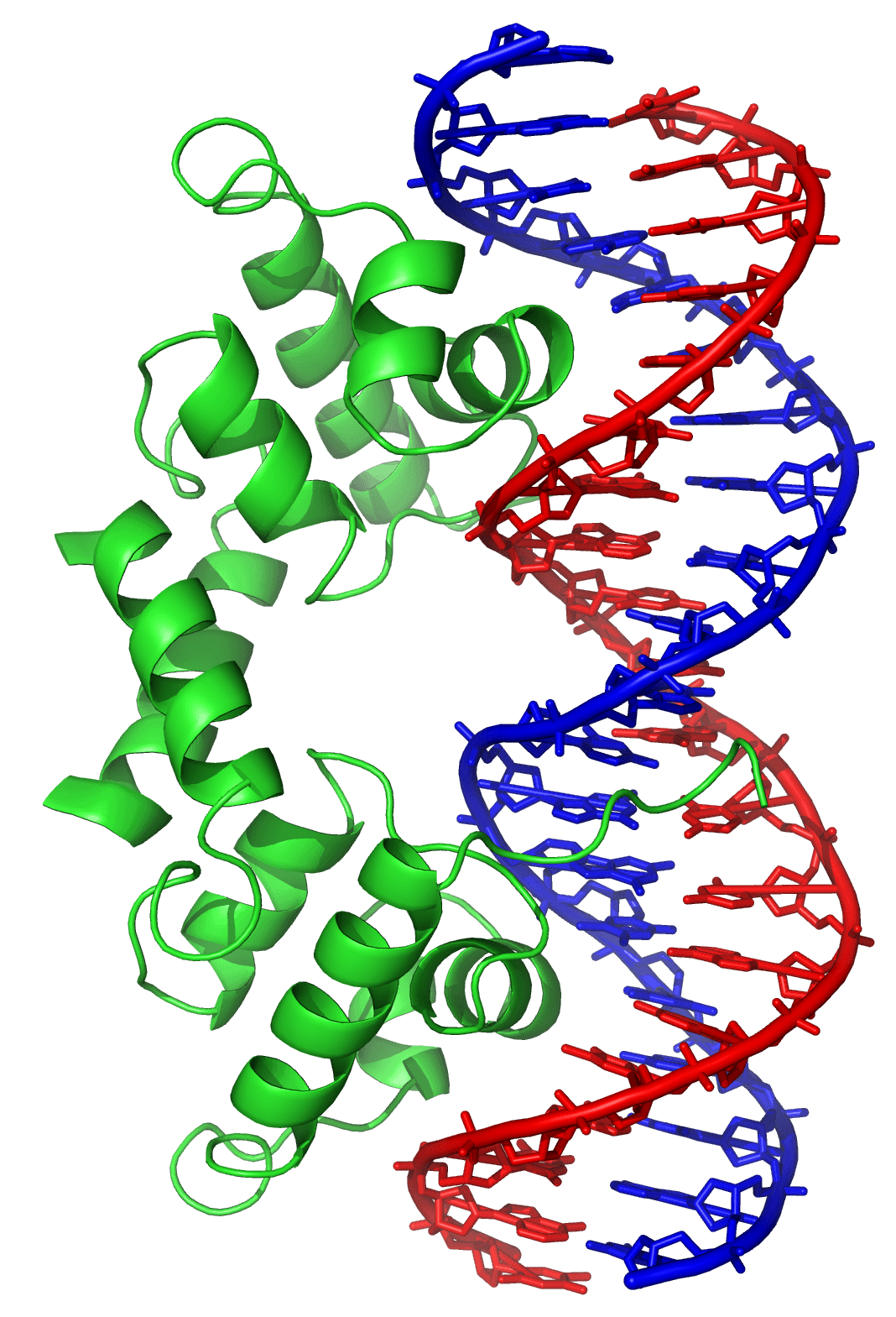 Motif structurel — Wikipédia