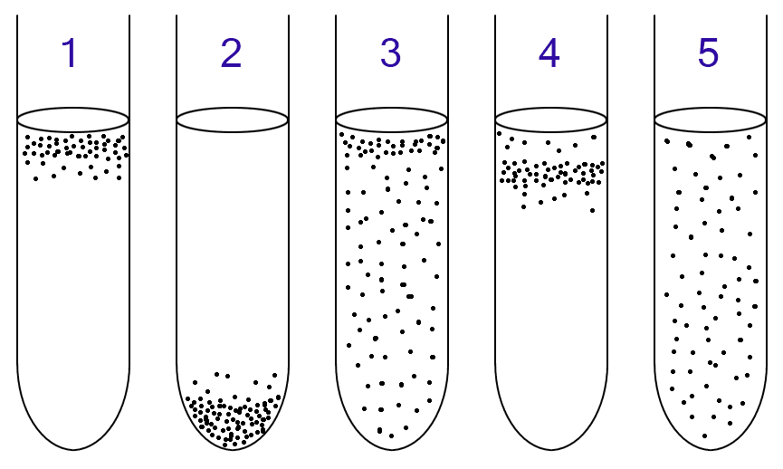 Aerobic organism - Wikipedia