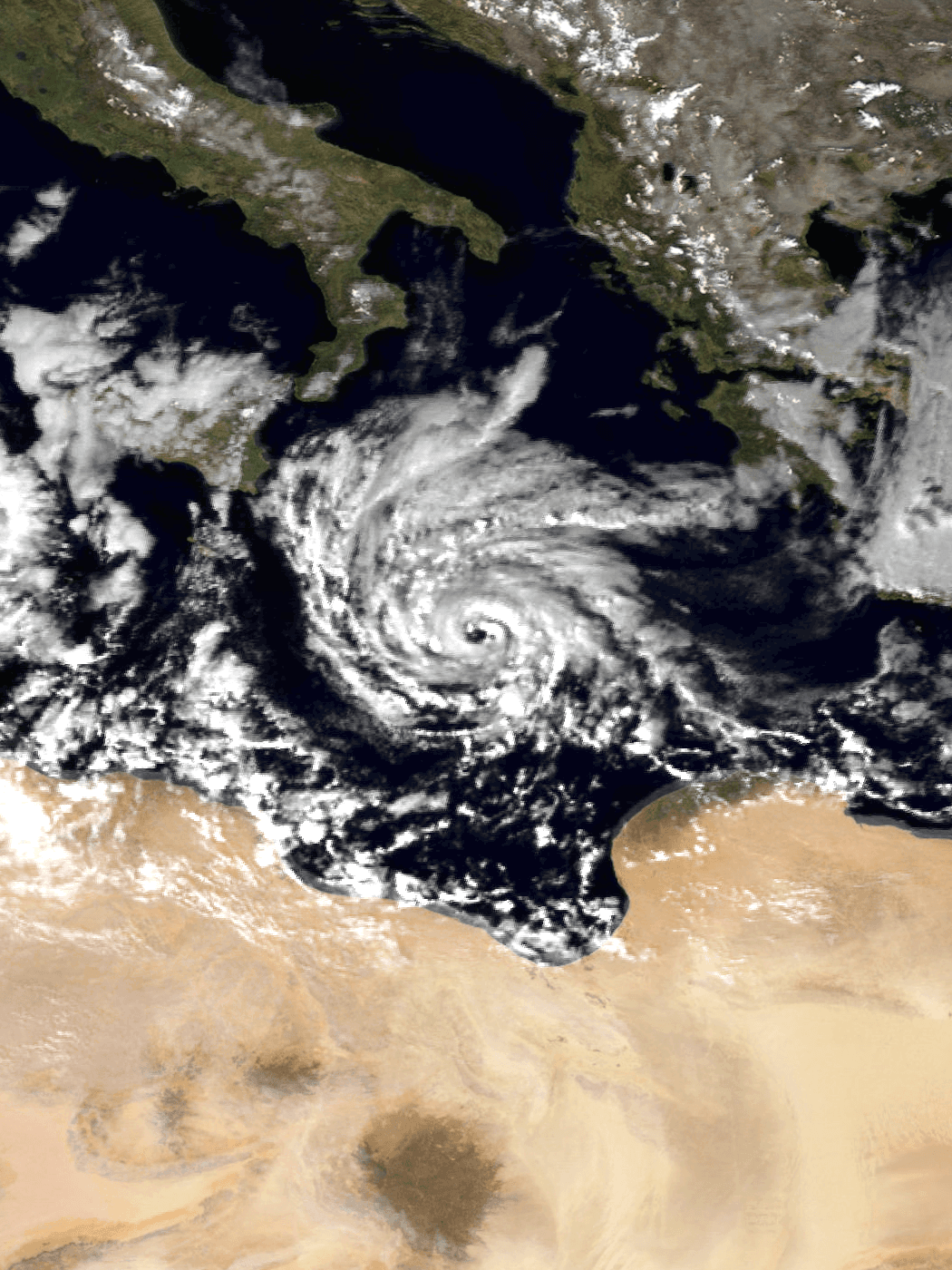 Cyclone subtropical méditerranéen — Wikipédia