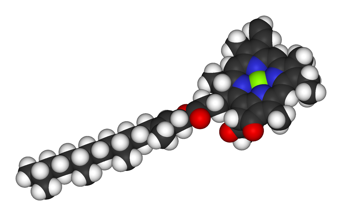 Chlorophylle a — Wikipédia