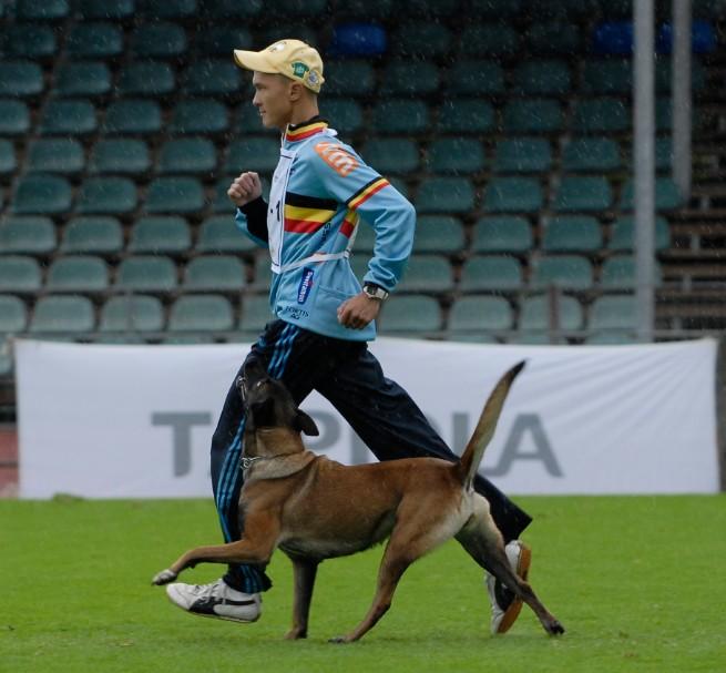Schutzhund - Wikipedia