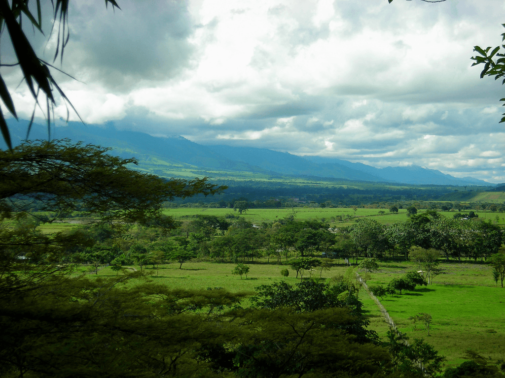 Llanos — Wikipédia