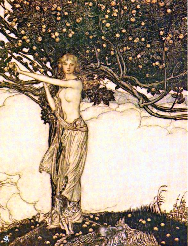 Freyja — Wikipédia