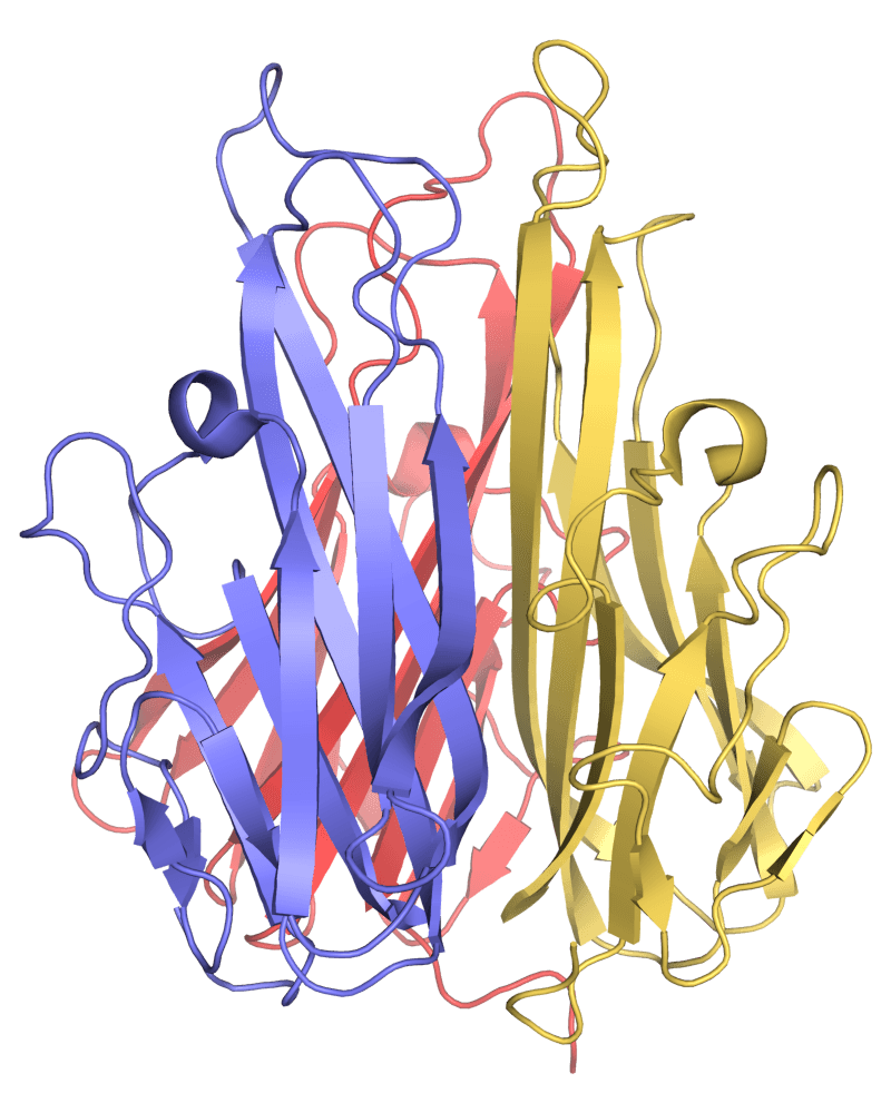 Tumor necrosis factor - Wikipedia