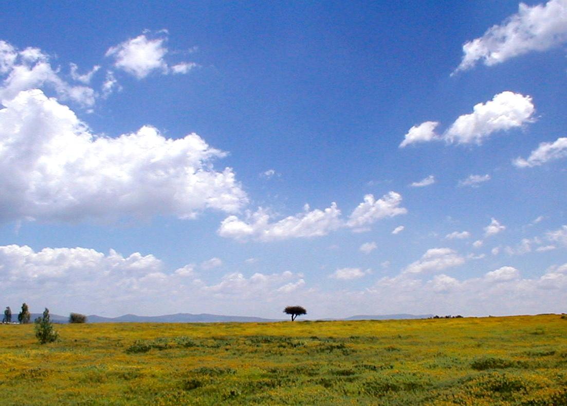 Mexican Plateau - Wikipedia