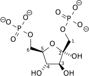 Fructose-1,6-bisphosphate — Wikipédia