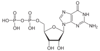 Guanine nucleotide exchange factor - Wikipedia