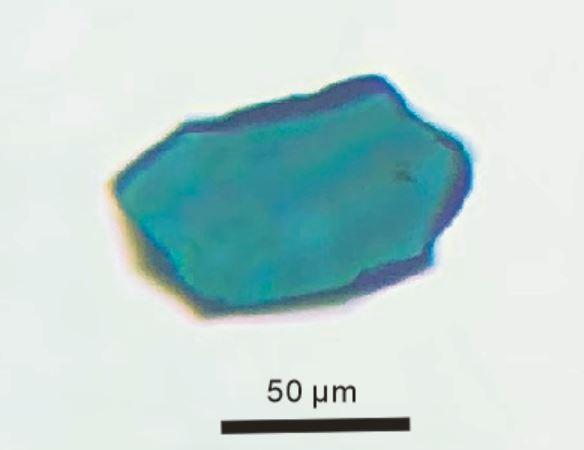 Wadsleyite - Wikipedia