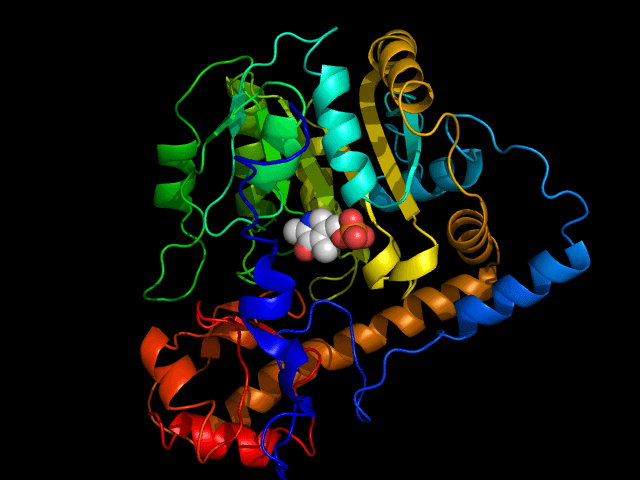 Transaminase - Wikipedia